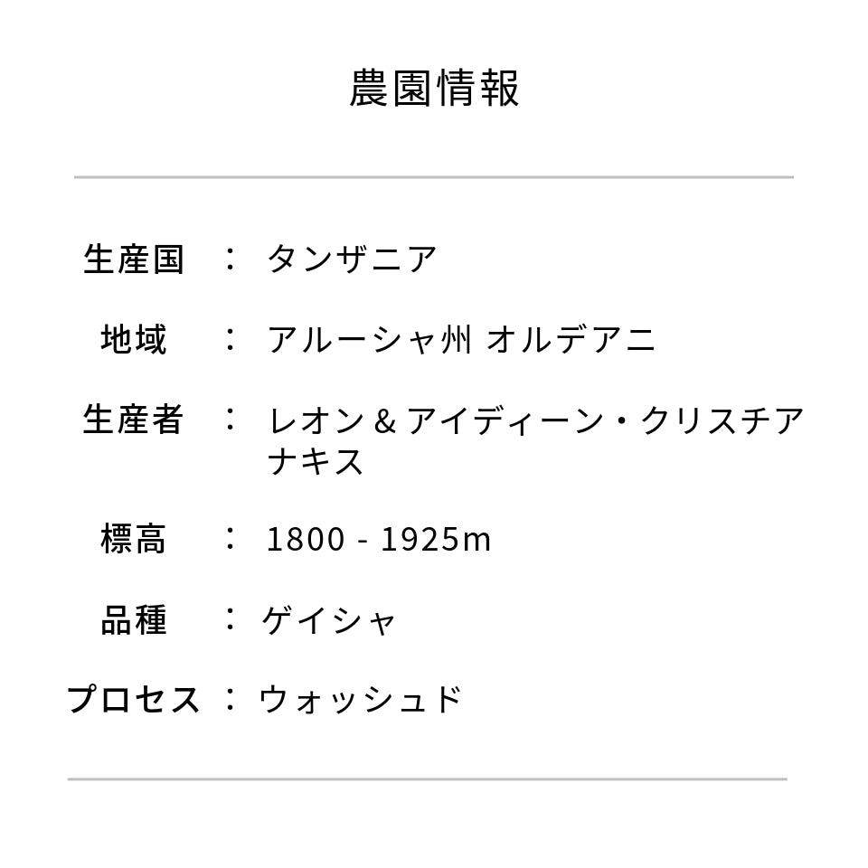 タンザニア アカシアヒルズ農園 ゲイシャ