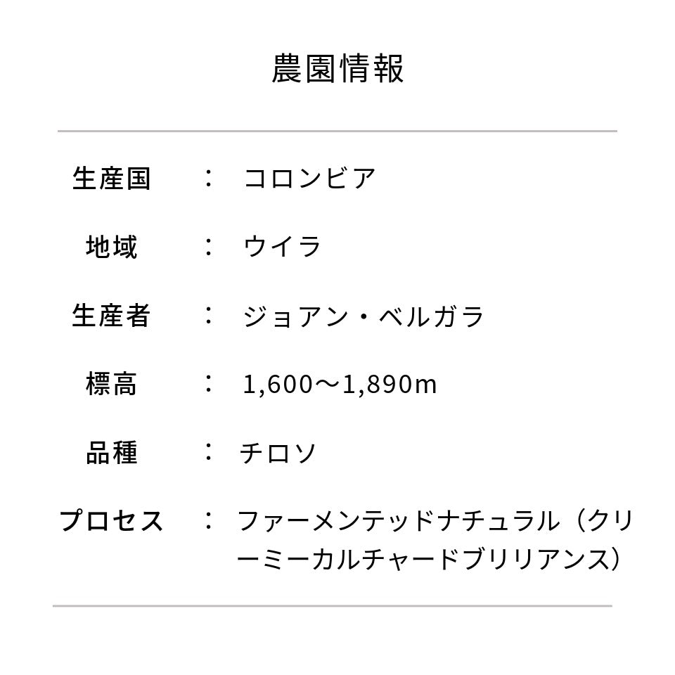 コロンビア ラス・フローレス農園 チロソ ファーメンテッドナチュラル