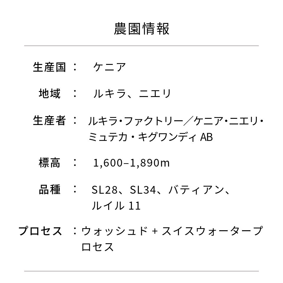 ケニア ムテカ(キグワンディ)+オタヤ デカフェ