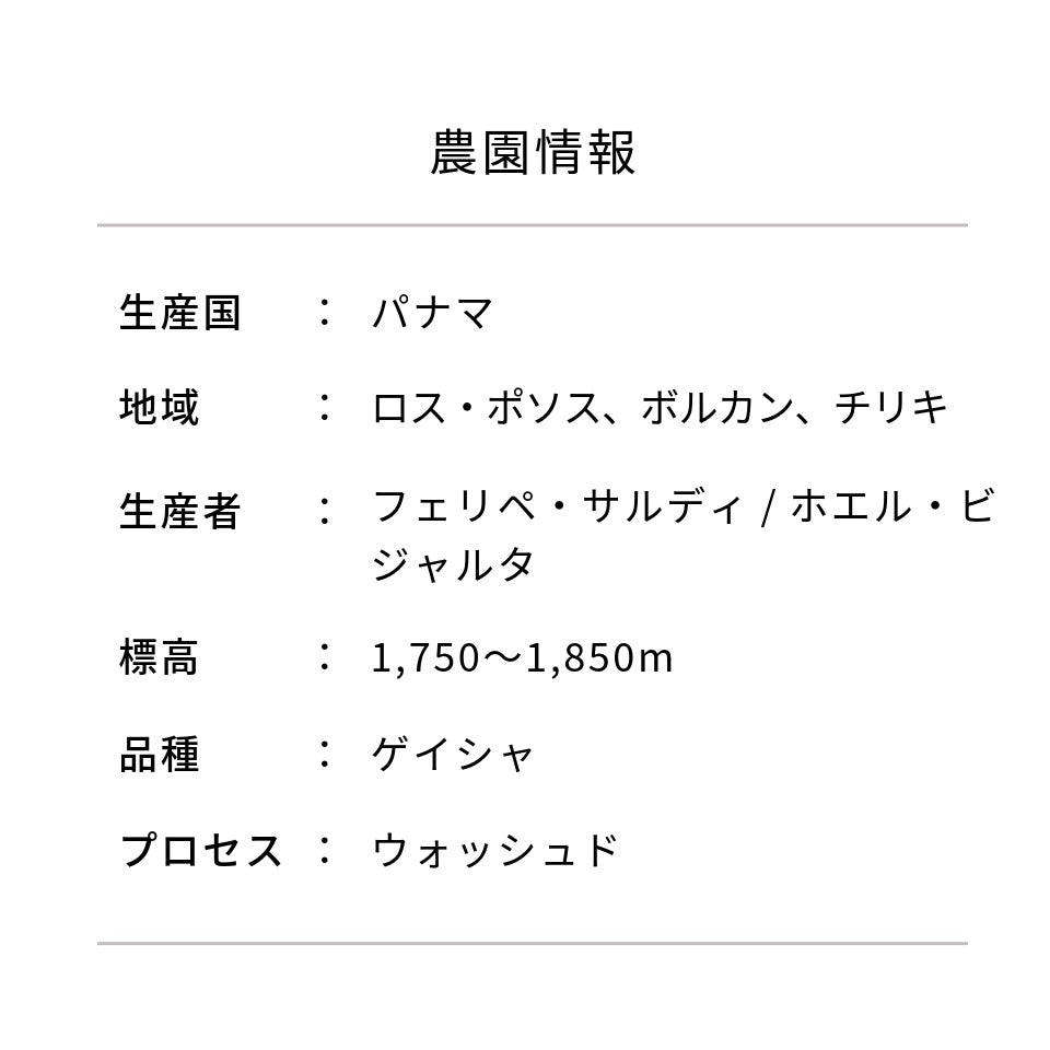【生豆】パナマ フライングピューマ農園 ゲイシャ ウォッシュド
