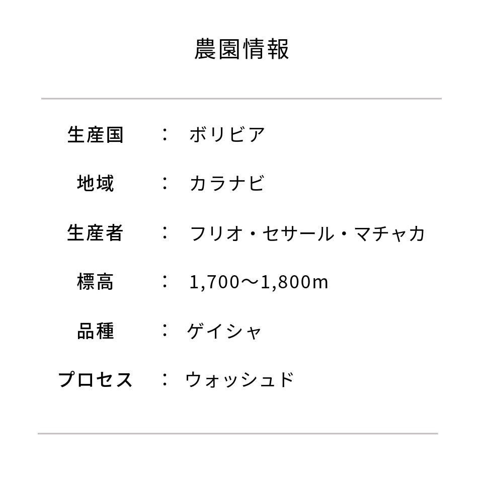 ボリビア ラス アルトゥラス農園  ゲイシャ ウォッシュド