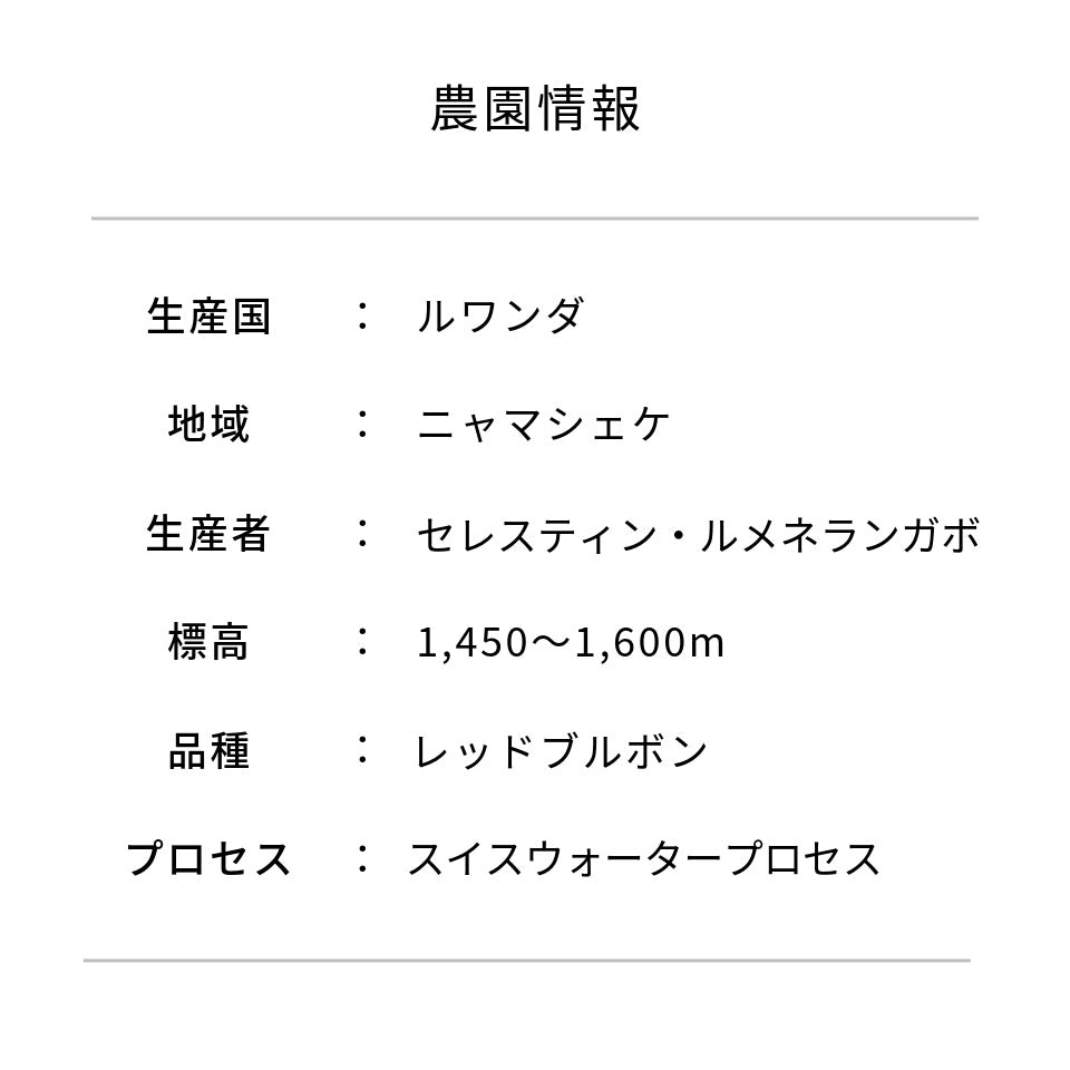 ルワンダ ムホロロ レッドブルボン デカフェ